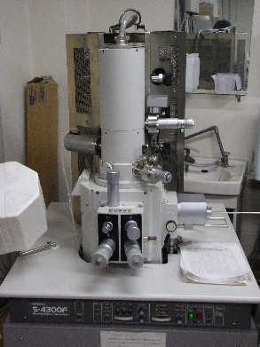 ^dq(SEM)